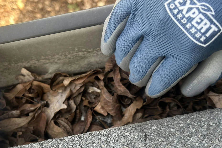 Gutter Cleaning Bessemer